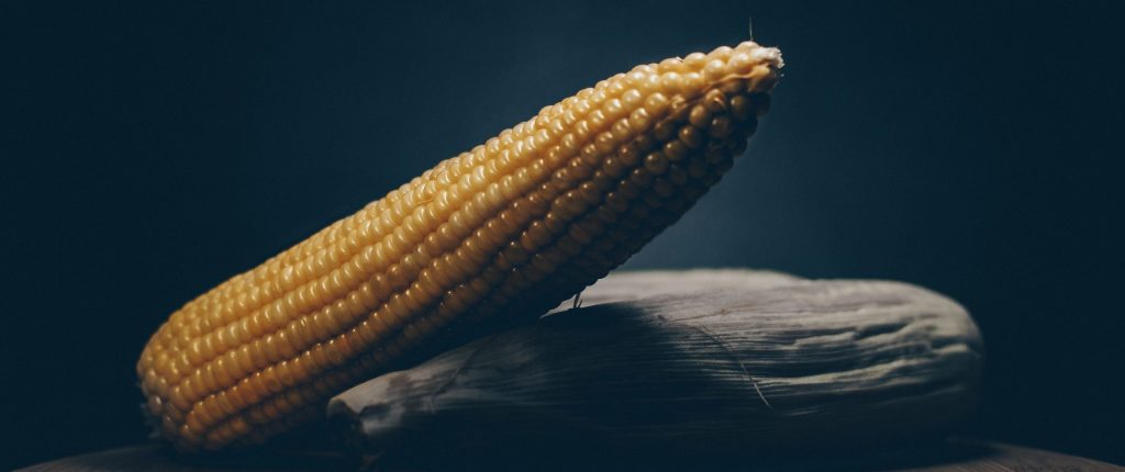 Waxy maize para emagrecer com saúde