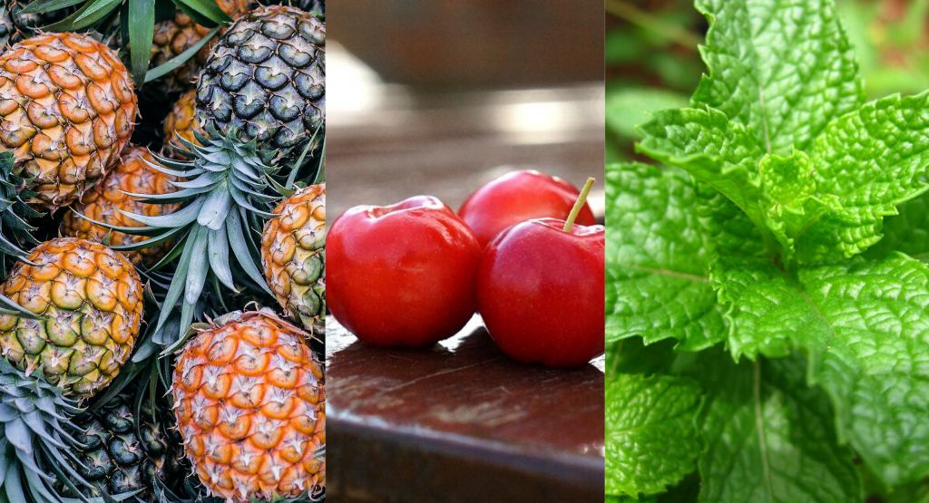 Alimentos saudáveis abacaxi, acerola e hortelã