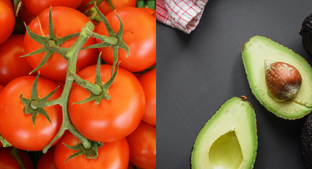 Alimentos saudáveis tomate e abacate