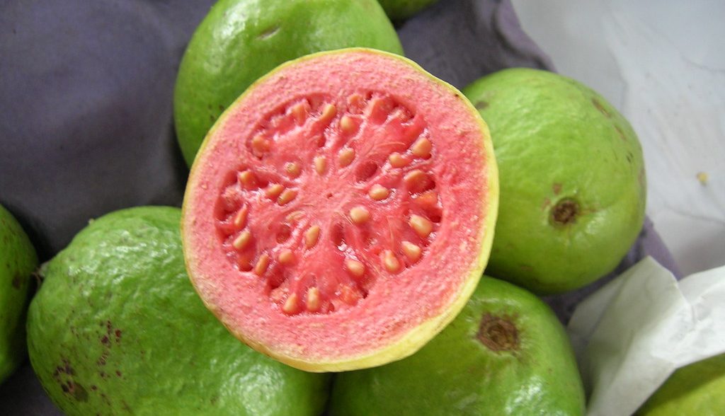 Alimentos para aumentar a imunidade - goiaba