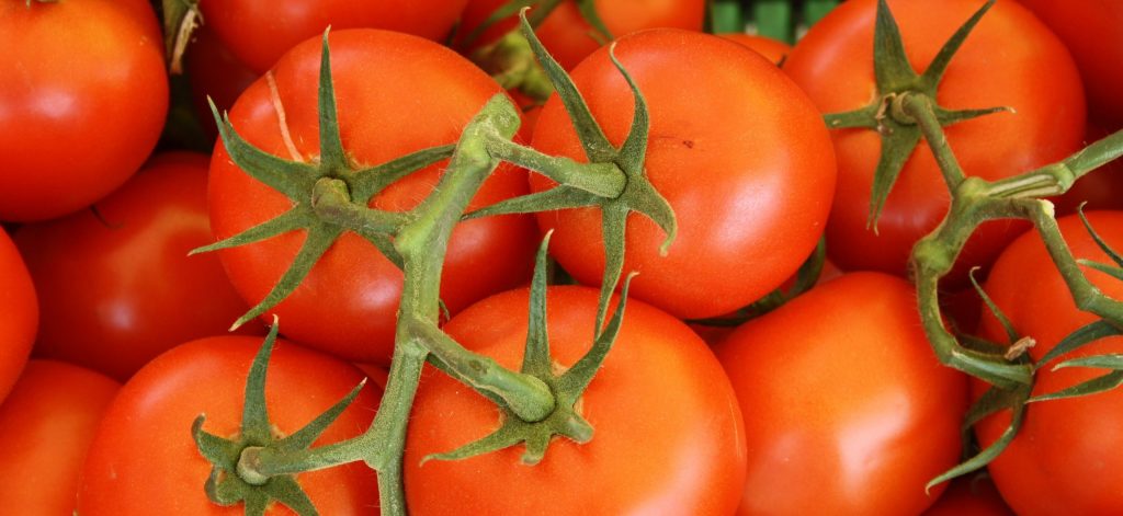 Alimentos que aumentam a imunidade - tomate